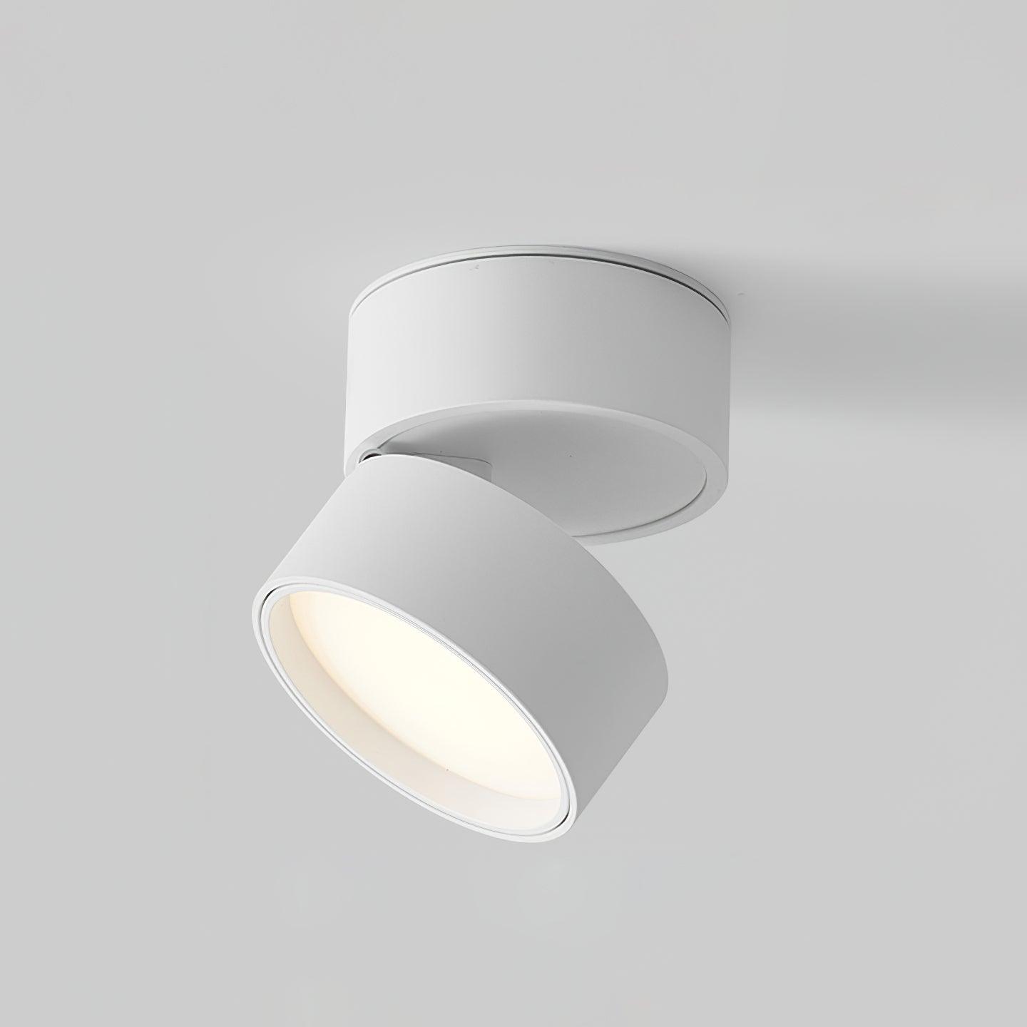 Verstelbare LED Plafondlamp - Stijlvolle Giulia