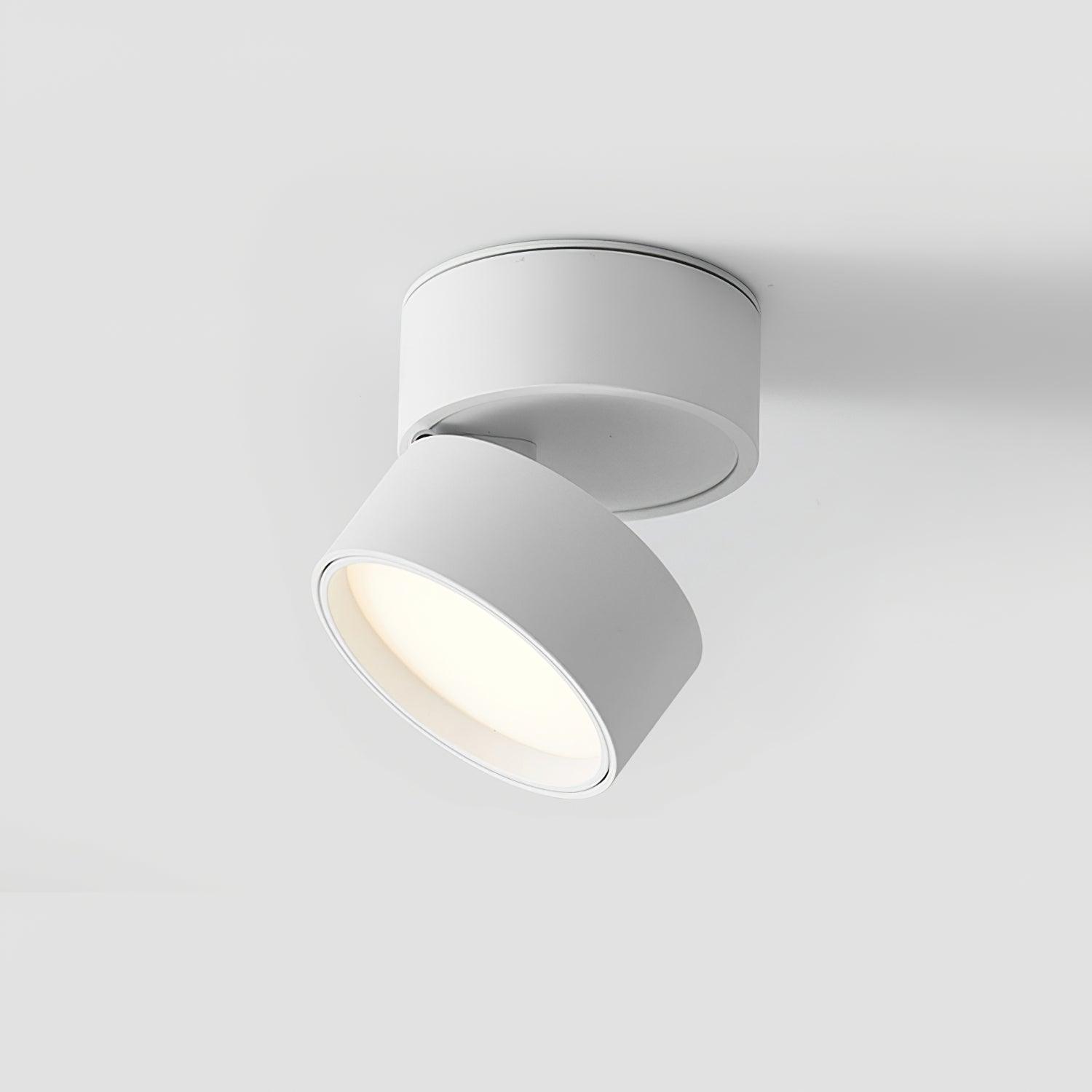 Verstelbare LED Plafondlamp - Stijlvolle Giulia